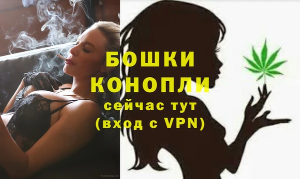 прущие грибы Балахна