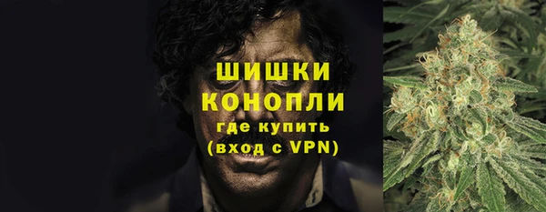 прущие грибы Балахна