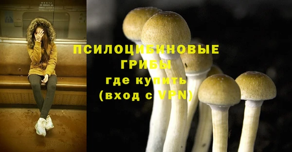 мдпв Балабаново