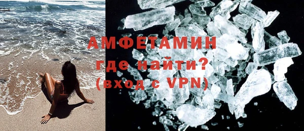 прущие грибы Балахна