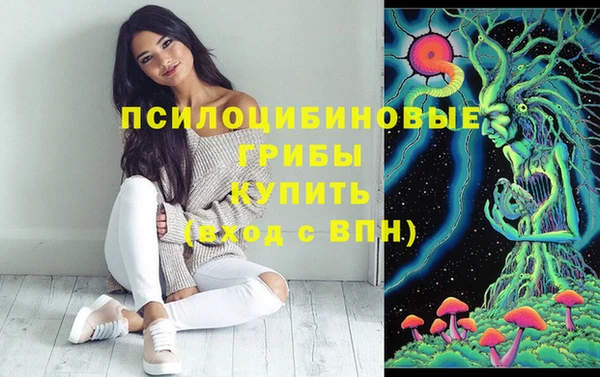 мдпв Балабаново