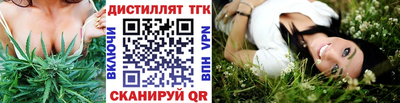 закладки Лыткарино ТГК концентрат