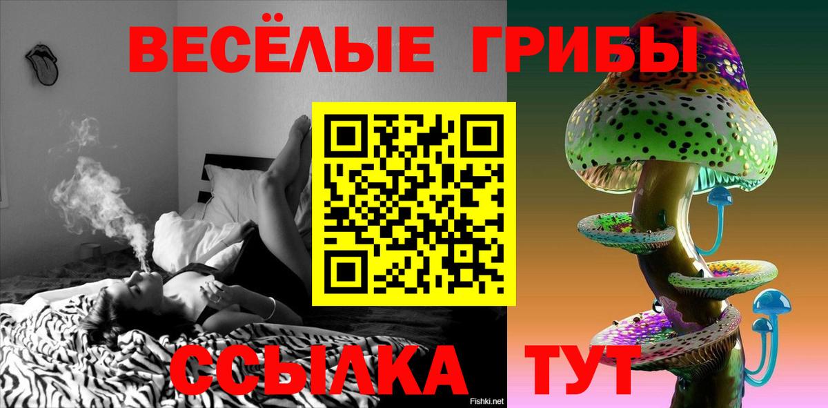 Лыткарино  Псилоцибиновые грибы Psilocybine cubensis  наркотики  Вход с VPN  Галлюциногенные грибы Psilocybine cubensis 